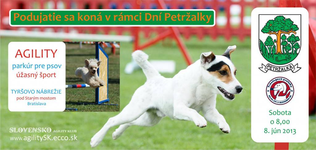 11 Trening.Pretek-AGILITY